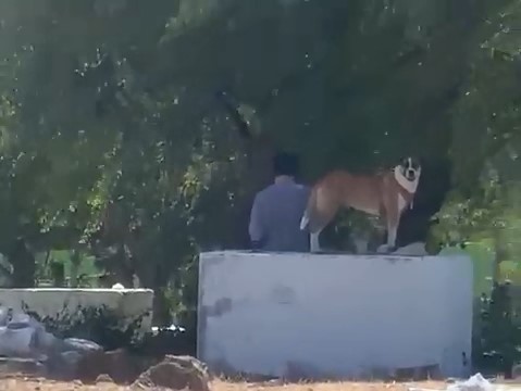 WhatsApp Video 2022-09-15 at 1.15.45 PM.mp4_snapshot_00.16.jpg